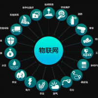 物聯(lián)網(wǎng)前期低谷泡沫與后續(xù)數(shù)字化崛起支點(diǎn)